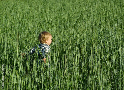 the happy boy in green grass