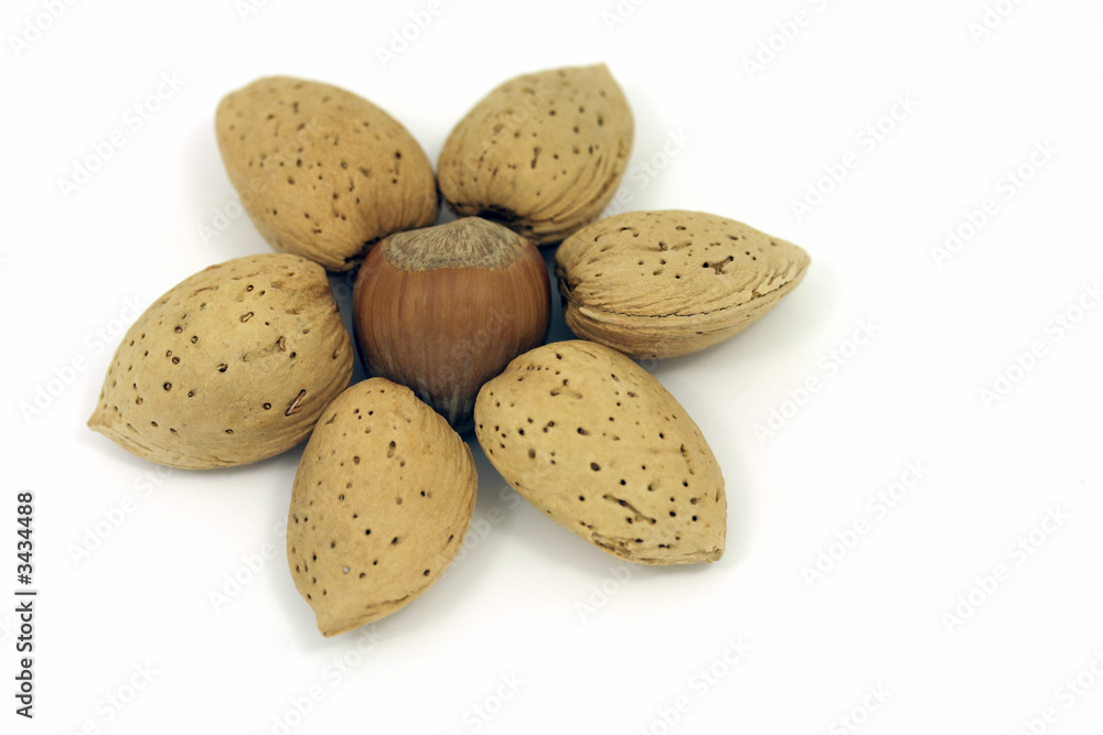 almonds and hazelnut almonds and hazelnut