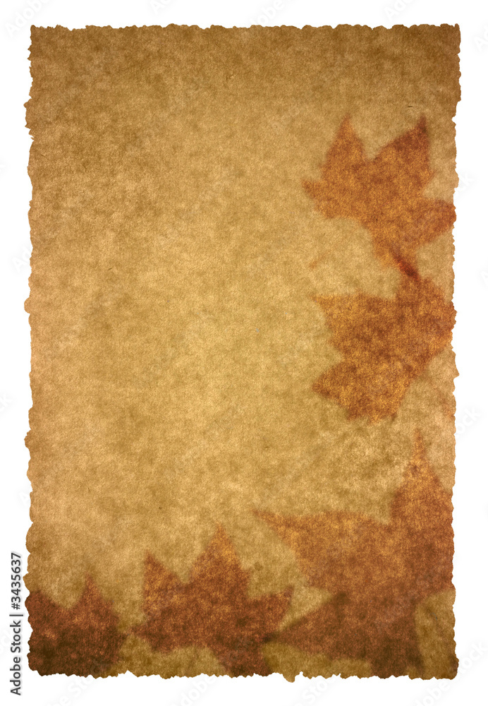 Fototapeta premium autumn page