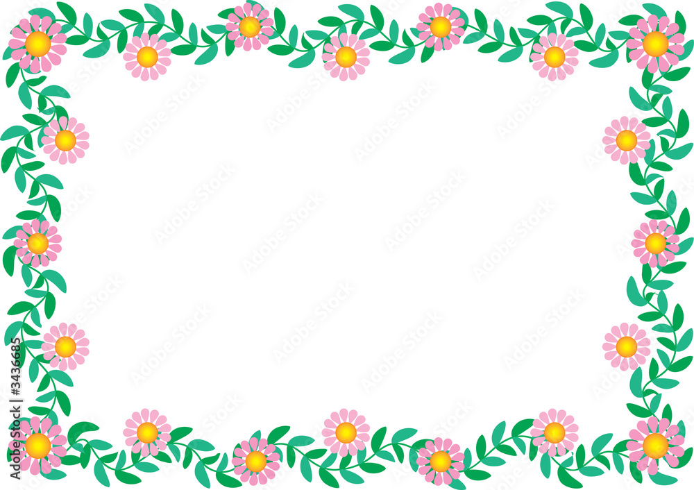 custom made wallpaper toronto digitaldaisy border