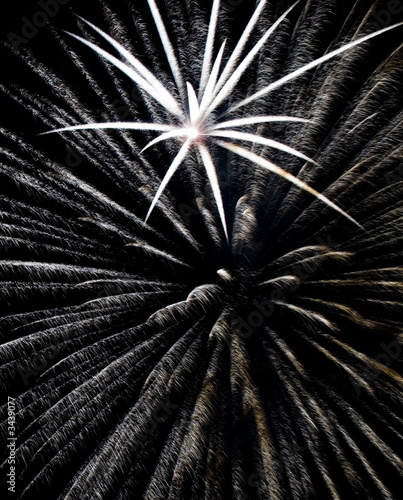 firework art