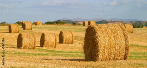 hay bales