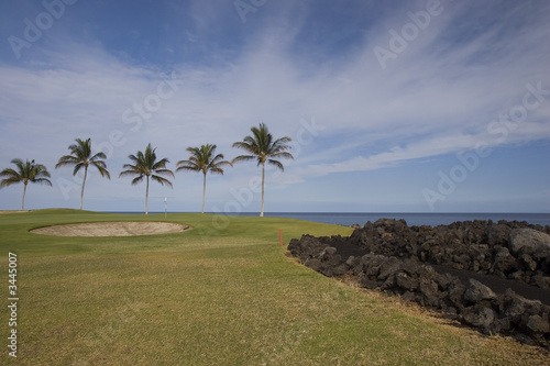 hawaii golf by the ocean © EuToch