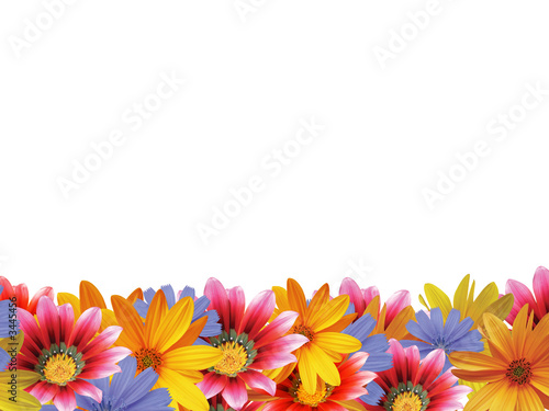 Fototapeta Naklejka Na Ścianę i Meble -  flower frame 2