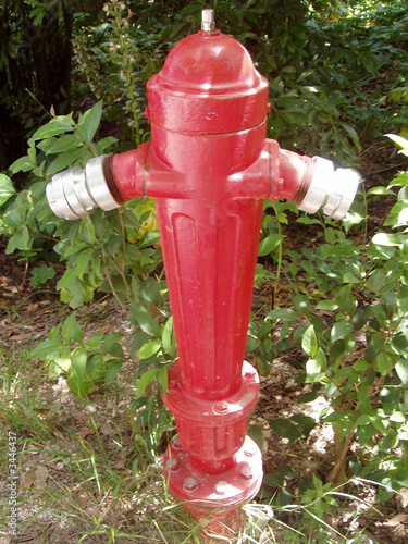 fire hydrant