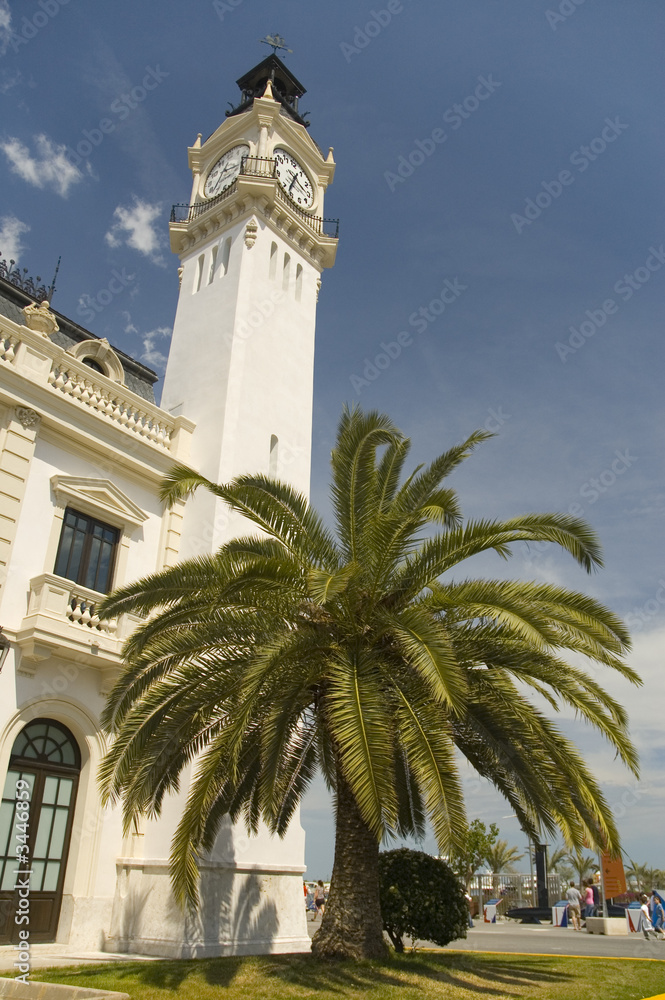 clock tower and palm