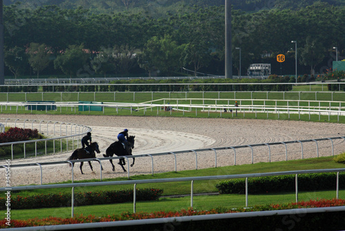 horse practicing in the race course