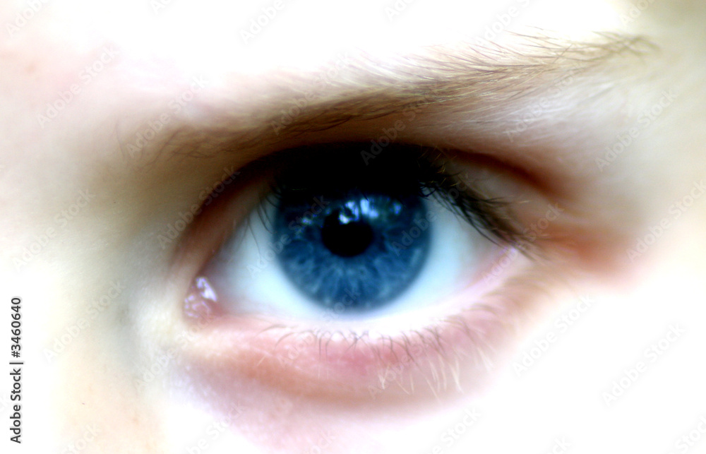 blauäuglein blauäuglein