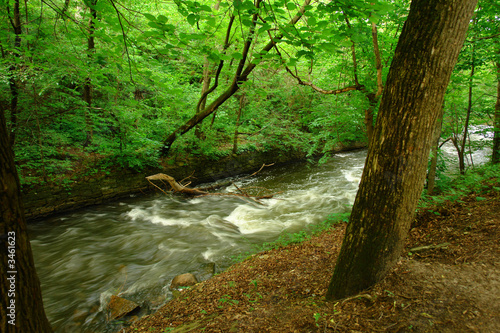 Fototapeta Naklejka Na Ścianę i Meble -  river  through forest