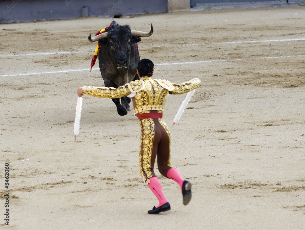 Obraz premium banderillero in bullfight