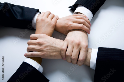 harmony photo