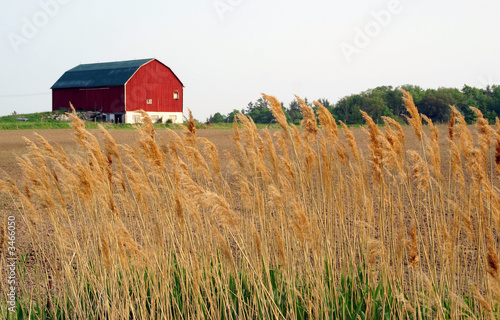 farm house