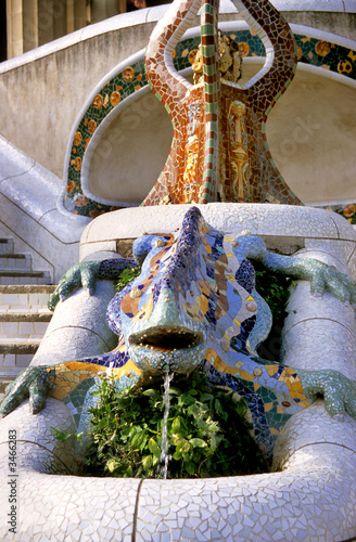 barcelona lizard fountain photo