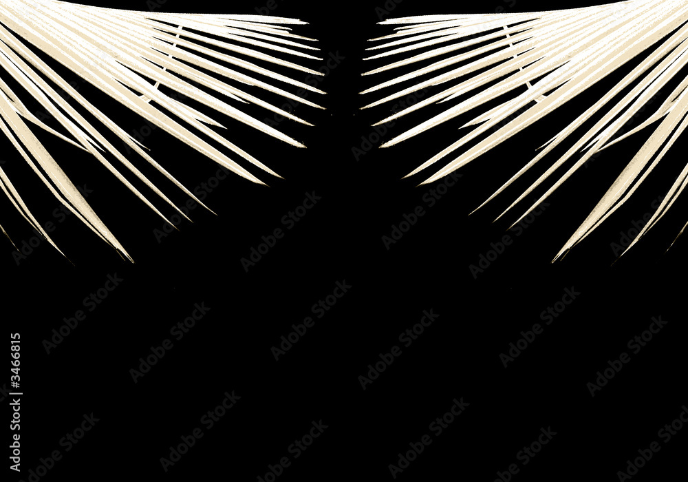 Obraz premium chambre noire