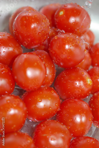 Wallpaper Mural eiertomaten Torontodigital.ca