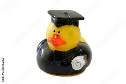 Fotografie rubber ducky graduating