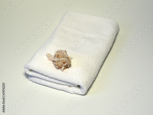 towel 10_0442