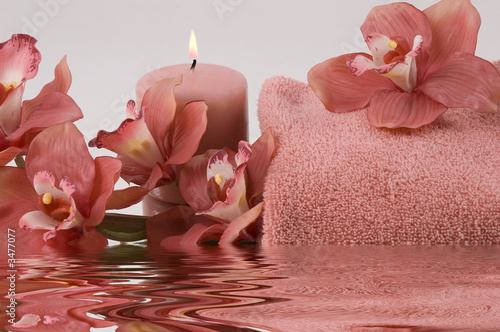 Wallpaper Mural pink spa Torontodigital.ca