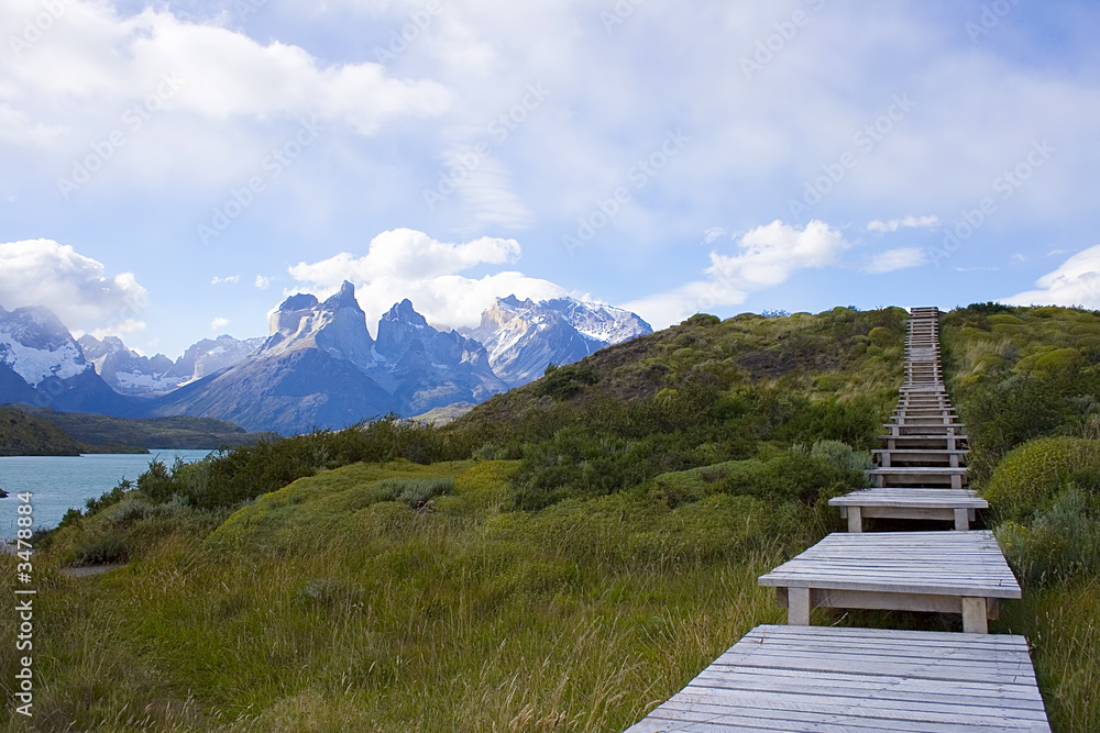 a scenic walk in patagonia