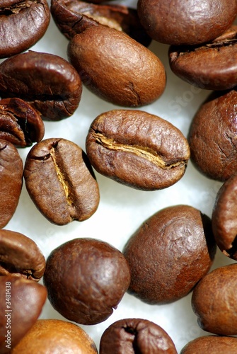 grains of coffee. © inacio pires
