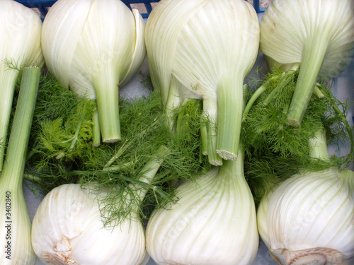 fennel