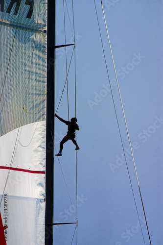 america's cup