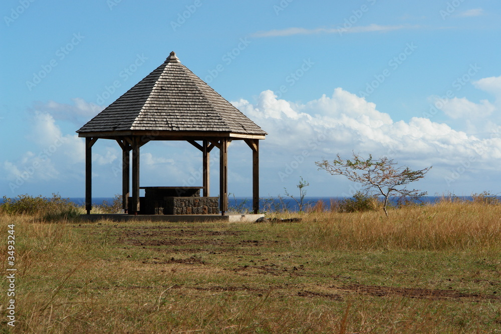 pique nique : kiosque dans environnement sauvage pique nique : kiosque dans environnement sauvage