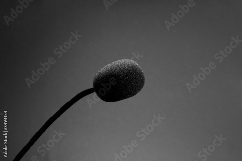 Microphone detail
