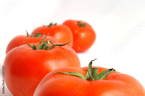 tomates alignées