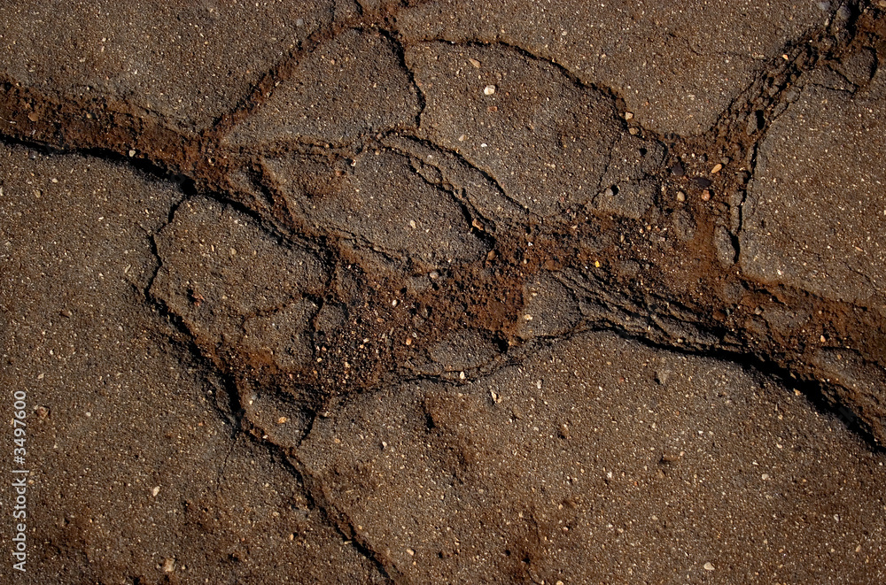 custom made wallpaper toronto digitalgrunge asphalt