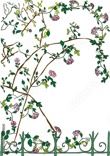 rose garden