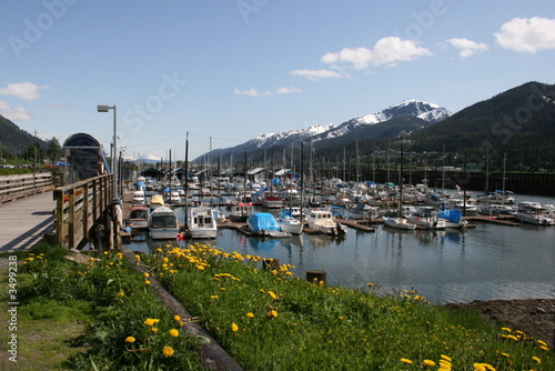 juneau alaska boat harbor