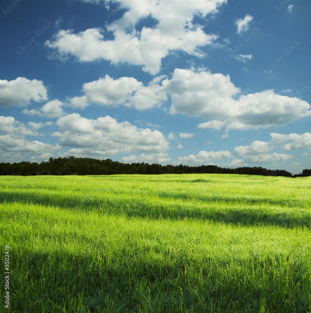 Obraz premium field and clouds