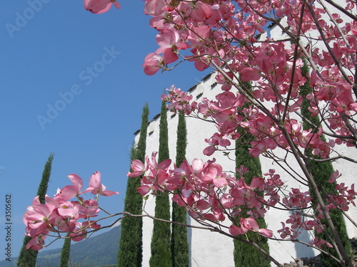 schloss trauttmannsdorff bei meran photo