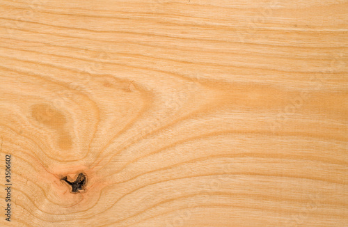 beech wood texture