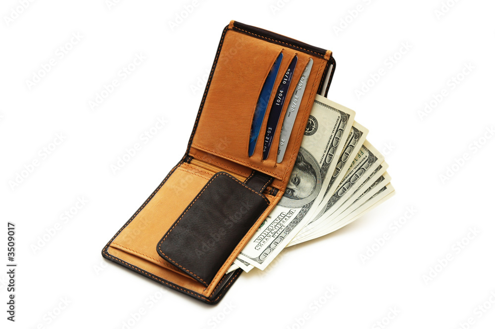 wallet with dollars and credit cards isolated wallet with dollars and credit cards isolated