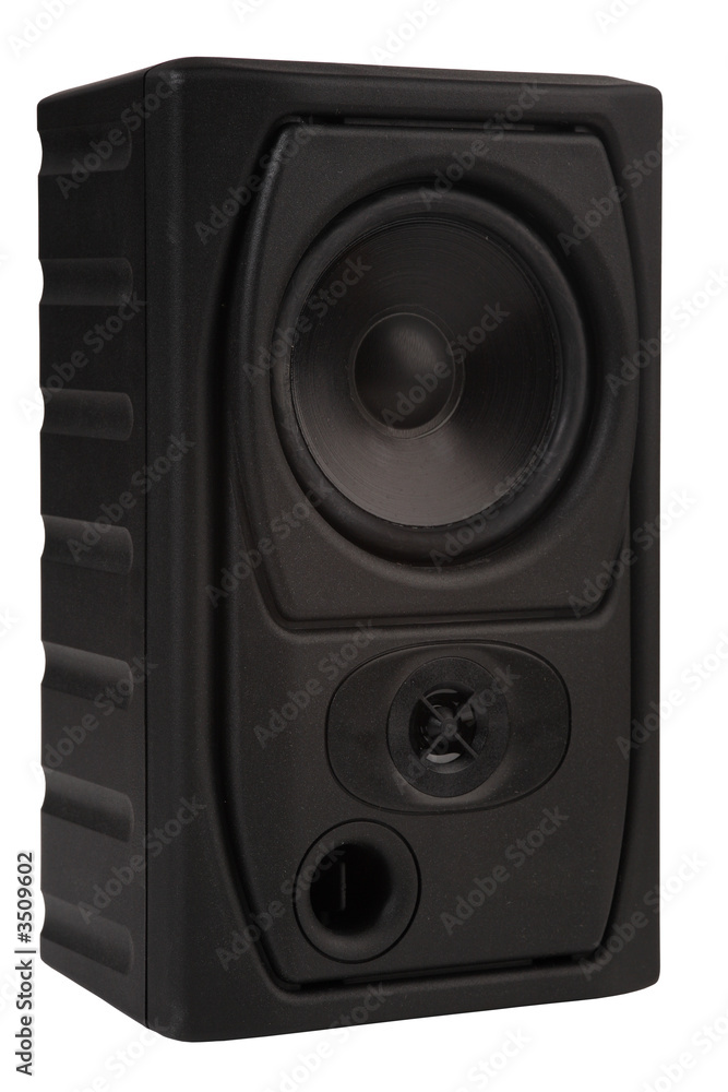 Obraz premium small speaker