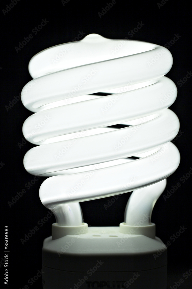 compact fluorescent light compact fluorescent light