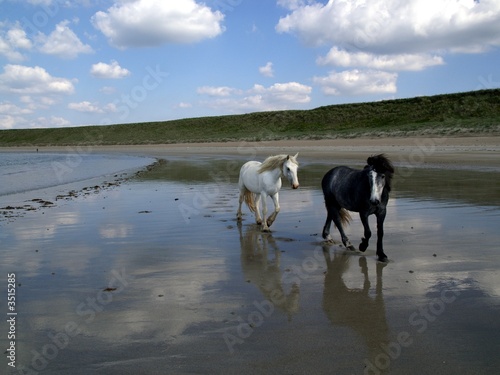 pony beach
