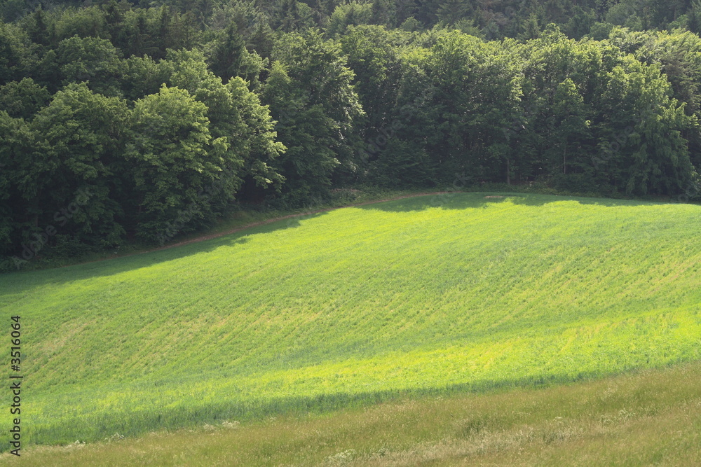 Obraz premium highland