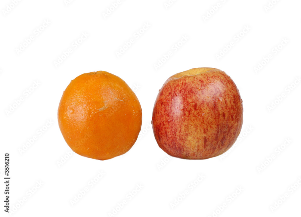 Fototapeta premium orange and mushroom