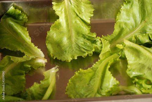 green vegetable in the pan photo