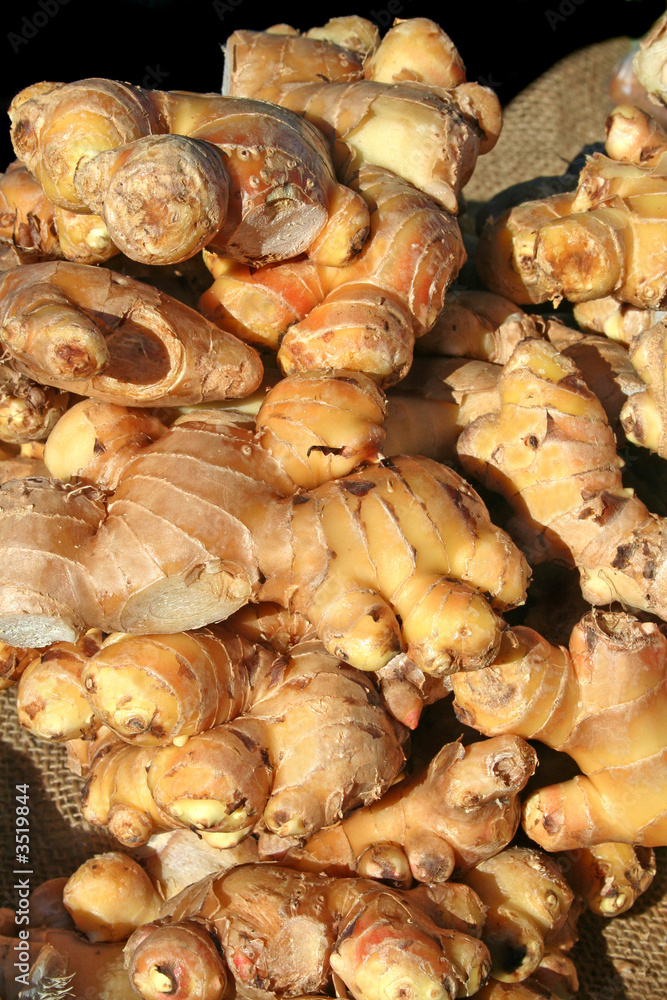 fresh ginger fresh ginger