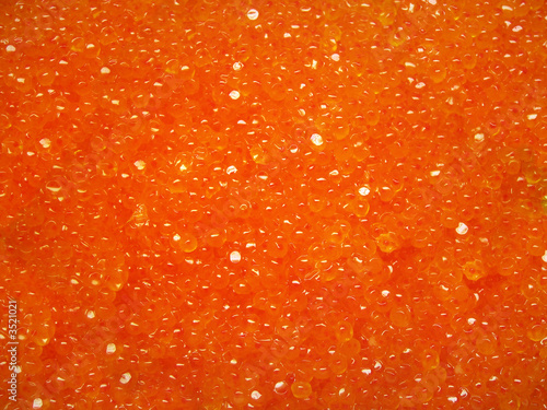 red salty roe