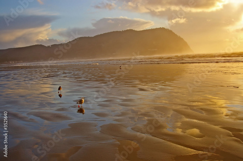 Foto mist over seaside oregon