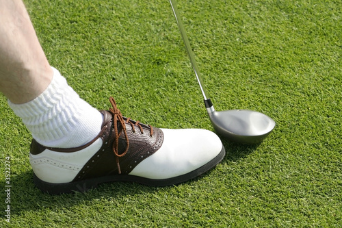 golf club and shoe photo