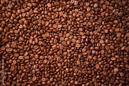 coffee beans #3522282