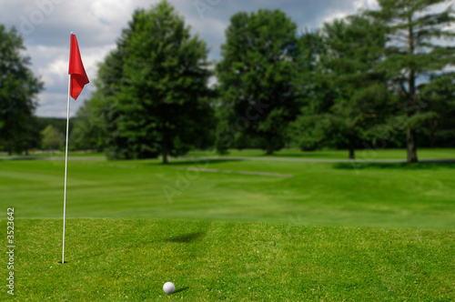 golf ball on the putting green