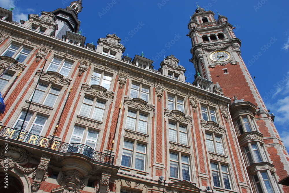 Fototapeta premium lille