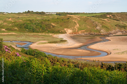 meandering river 